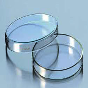 Petri Dish-Soda-Lime-Glass-Lid Diameter-40 Mm,